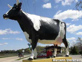 Big cow.