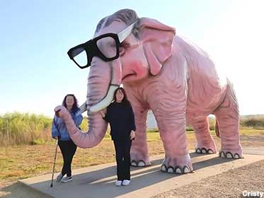 Pink Elephant.
