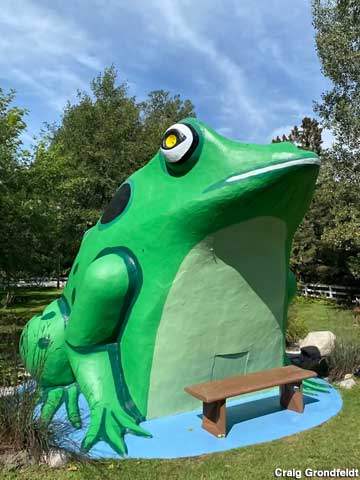Frog of Fontana.