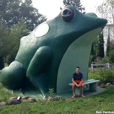 Frog of Fontana.