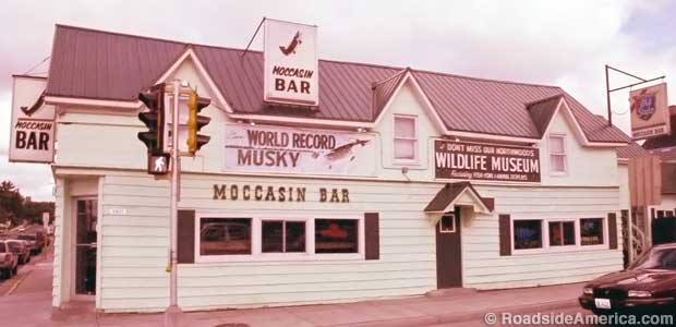 Moccasin Bar.
