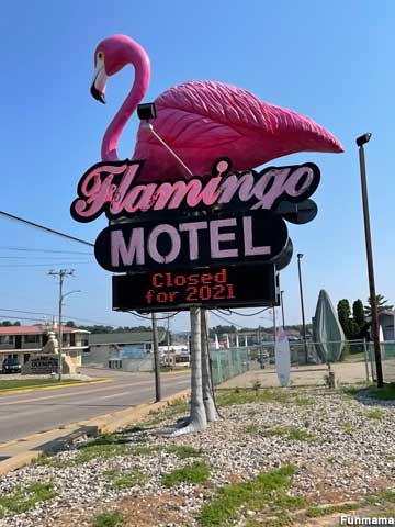 Flamingo Motel.