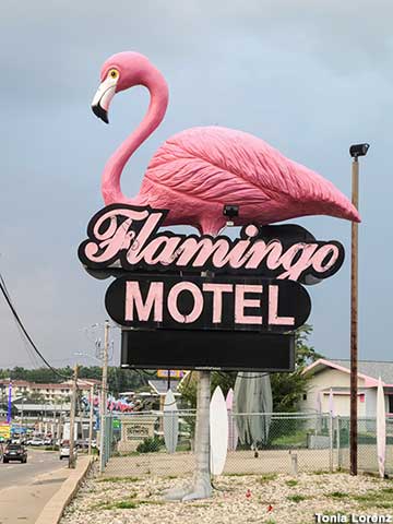Flamingo Motel Sign.