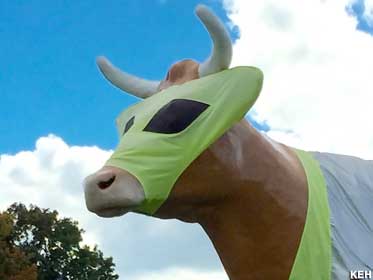 Alien costume cow.