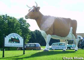 Cow statue.