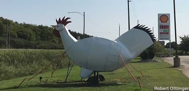 Chicken statue.