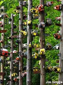 Chainsaw totem poles.