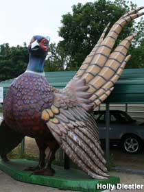 Pheasant statue.