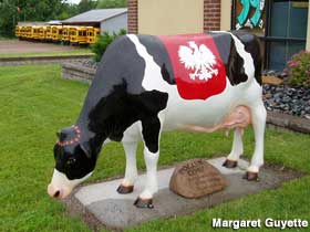 Polish cow.
