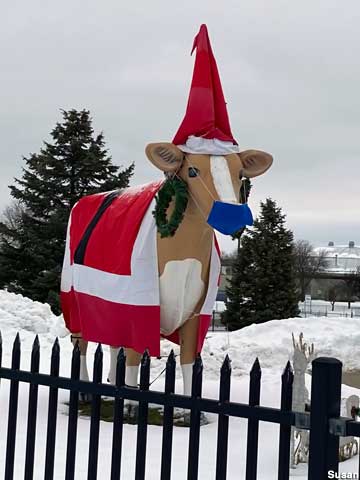 Holiday cow.