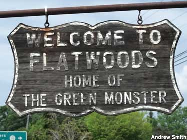Flatwoods Monster.