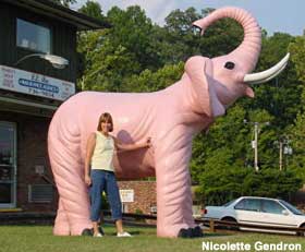 Pink elephant and Nicolette's mom.