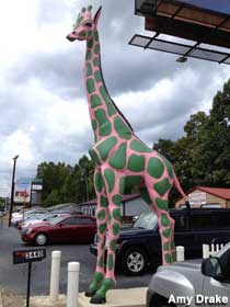 Giraffe statue.