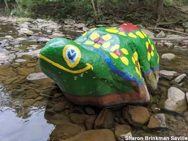 Rio Rock Turtle.