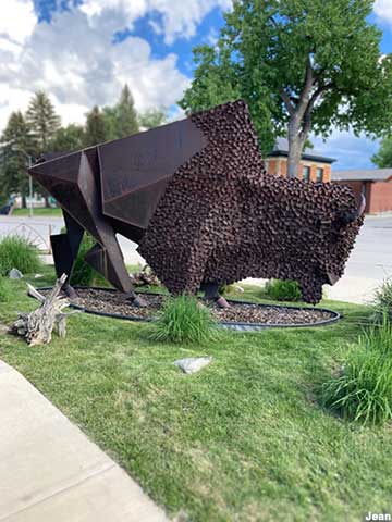 Cubist Buffalo.
