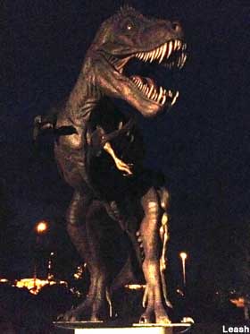 Night dinosaur.