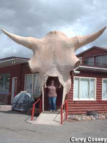 Cow skull entrance.