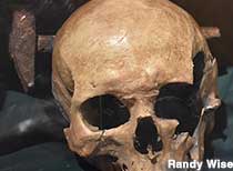 Spiked Skull of Harvey Morgan