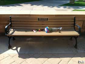Matthew Shepard bench.