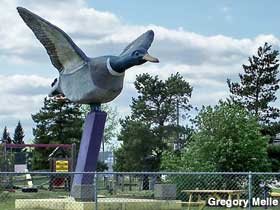 Mallard duck statue.