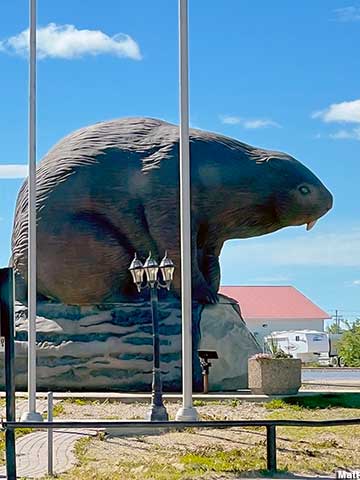Giant Beaver.