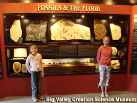 Fossils and the Flood exhibit at the Creation Science Museum.