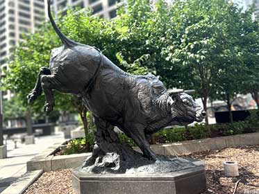 Outlaw: Canada's Wall Street Bull.