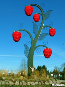 Giant raspberries.