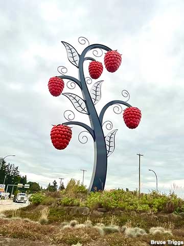 Raspberry vine sculpture.