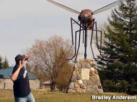Mosquito statue.