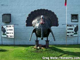 Wild turkey statue.