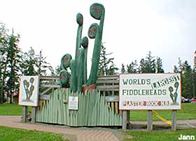 Fiddlehead sculptures.