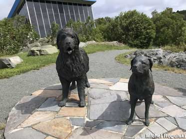 Dog Statues of Labrador and Newfoundland.