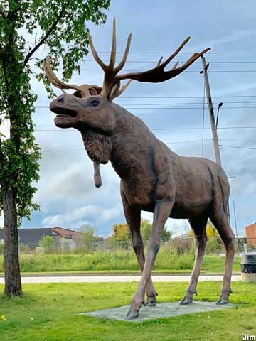 Statue of a moose named Max.