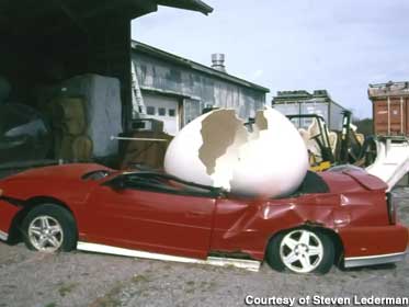 Egg crushing car.