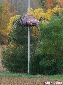 VW spider on pole.