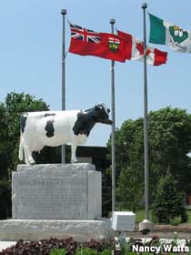 Champion butterfat cow monument.