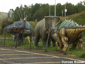 Dinosaurs congregate.