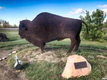 Buffalo sculpture.