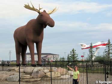 Mac the Moose, World's Largest.