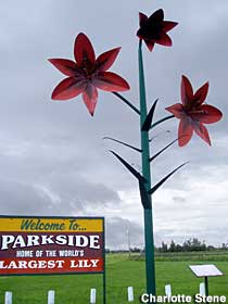 Parkside - Home of the World's Largest Lily.