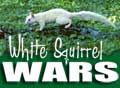 White Squirrels