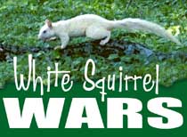 White Squirrel Wars