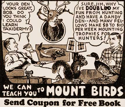 Vintage pulp magazine ad for Taxidermy career.