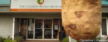 Potato Museum.