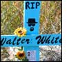 Walter White descanso.