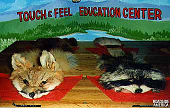 Touch N Feel Education Center