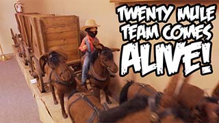 Animatronic Twenty Mule Team.