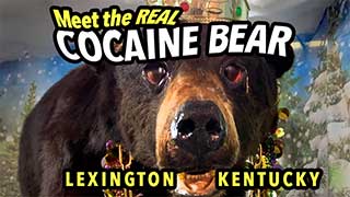 Meet the REAL Cocaine Bear.