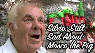 Silvio: Still Sad About Mosco the Pig.